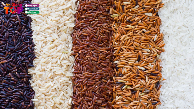 Top-5-dia-chi-ban-gao-lut-o-an-giang-ngon-an-toan-cho-suc-khoe-angiangtoplist