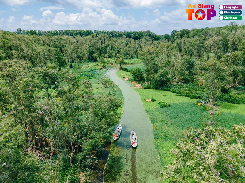 Rung-tram-tra-su-angiangtoplist