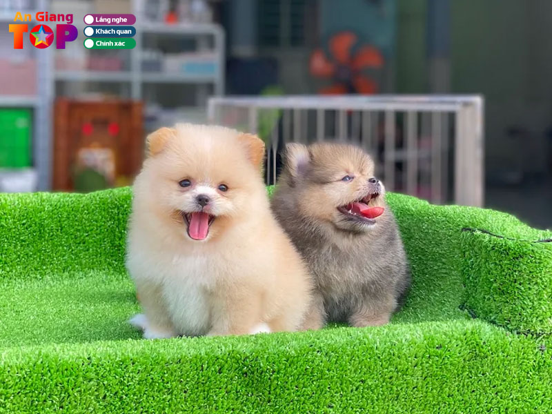 Tiem-thu-cung-nhan-doan-angiangtoplist