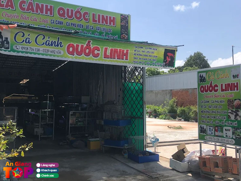 Ca-canh-quoc-linh-1-angiangtoplist