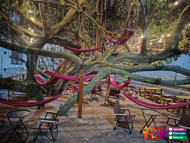 Ca-phe-vong-tren-canh-cay-angiangtoplist