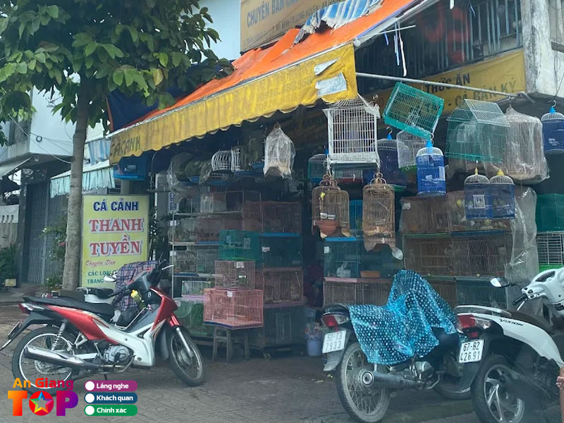 Cua-hang-ca-canh-thanh-tuyen-1-angiangtoplist
