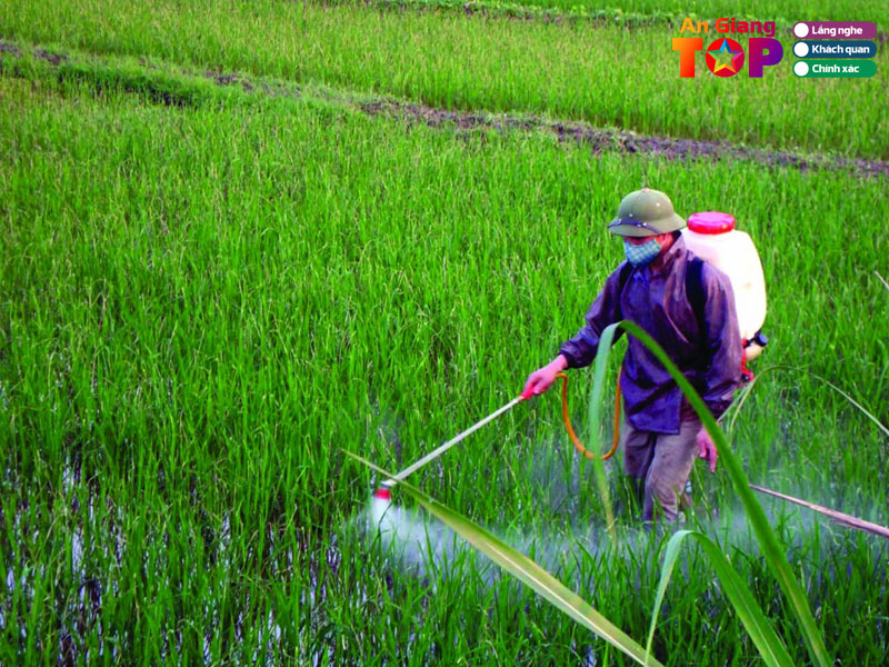 Kinh-nghiem-mua-thuoc-bvtv-an-toan-hieu-qua-1-angiangtoplist