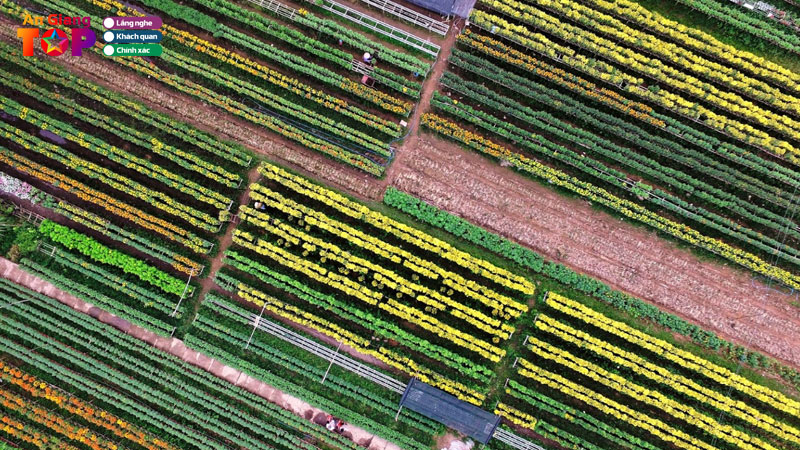 Lang-hoa-an-thanh-o-an-giang-noi-giu-hon-sac-xuan-angiangtoplist