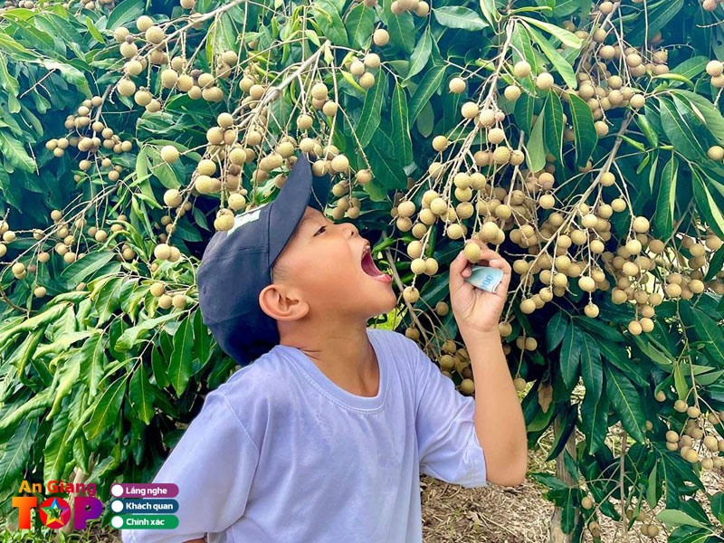 Kinh-nghiem-chon-mua-trai-cay-an-giang-ngon-1-angiangtoplist