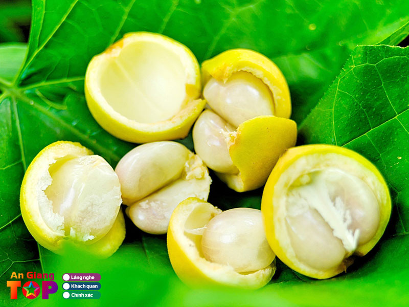 Qua-dau-da-1-angiangtoplist