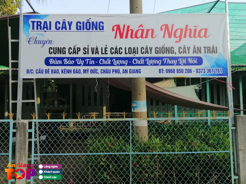 Trai-cay-giong-nhan-nghia-angiangtoplist