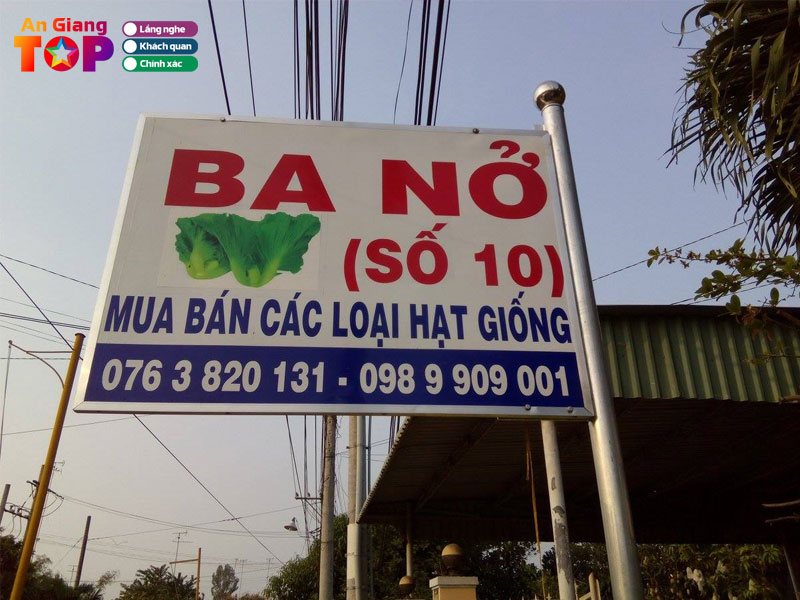 Cua-hang-hat-giong-ba-no-angiangtoplist