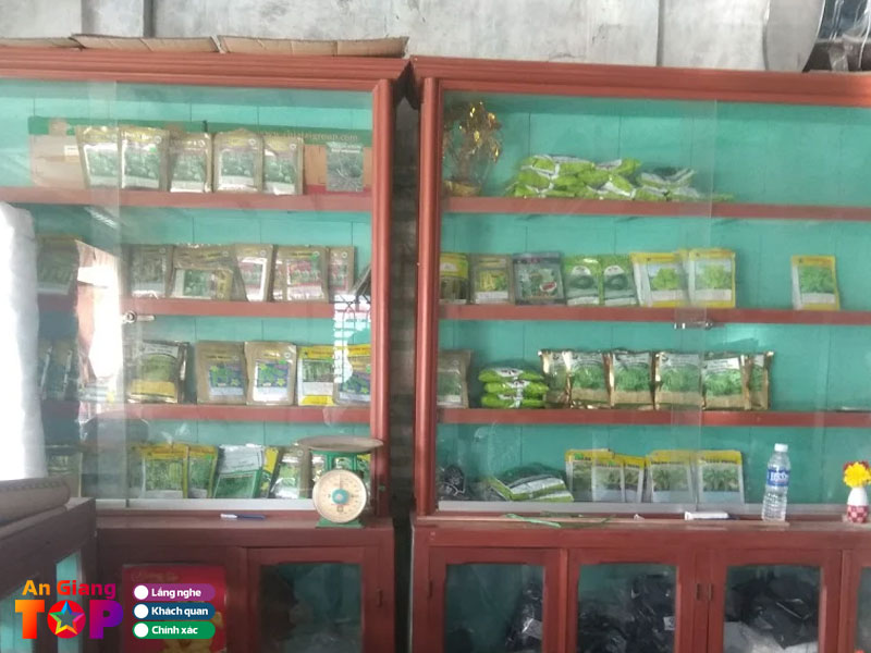 Cua-hang-hat-giong-rau-mau-sum-angiangtoplist
