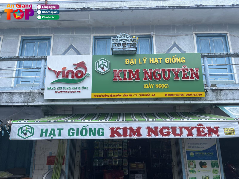 Hat-giong-kim-nguyen-angiangtoplist