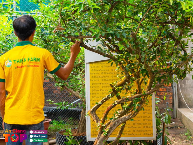 Thien-farm-1-angiangtoplist