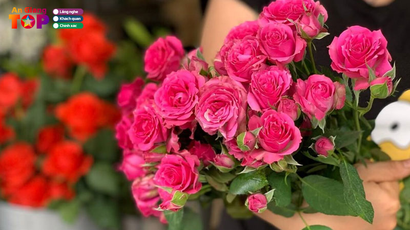 Top-10-dia-chi-mua-hoa-8-3-o-an-giang-dep-ngat-ngay-angiangtoplist