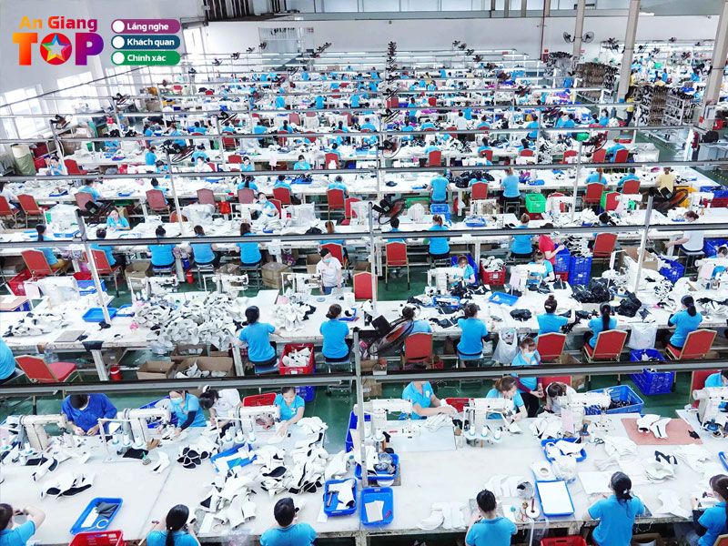 Cong-ty-cp-dt-giay-an-giang-angiangtoplist