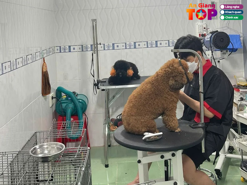 Galaxy-pet-spa-1-angiangtoplist