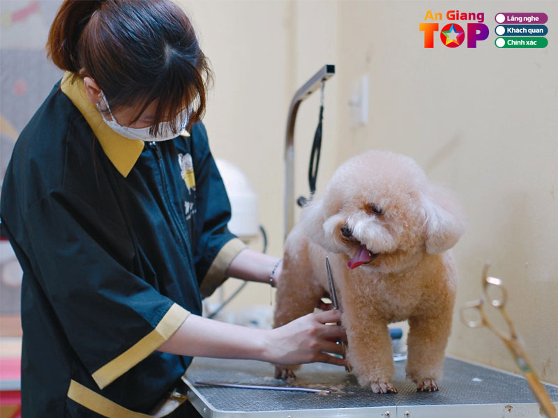 Tieu-chi-lua-chon-spa-thu-cung-chat-luong-angiangtoplist