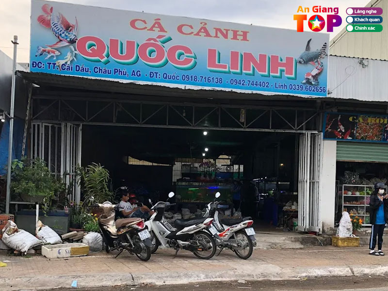 Ca-canh-quoc-linh-2-angiangtoplist