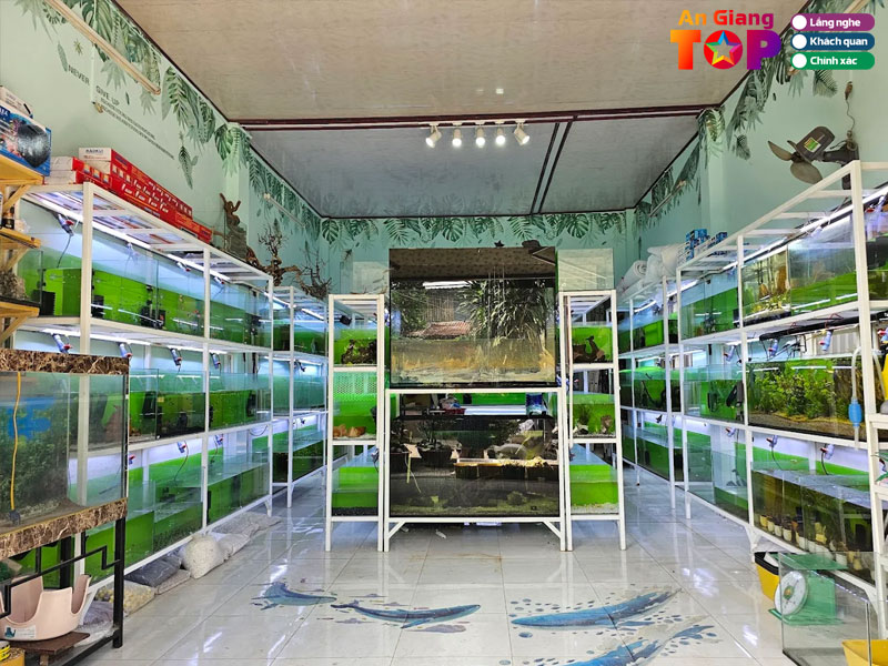 Trai-ca-canh-thuy-sinh-phuoc-loc-1-angiangtoplist